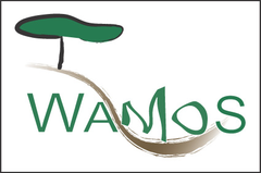 DSS-WAMOS